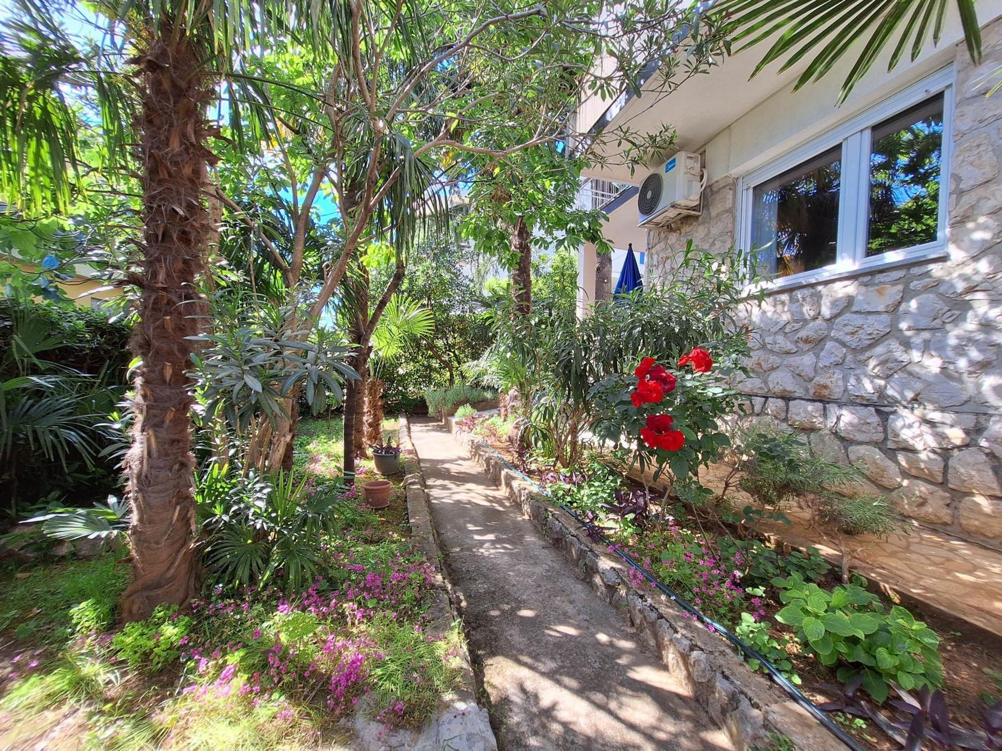 דראמליי Apartments Danica מראה חיצוני תמונה